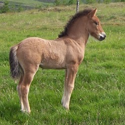356